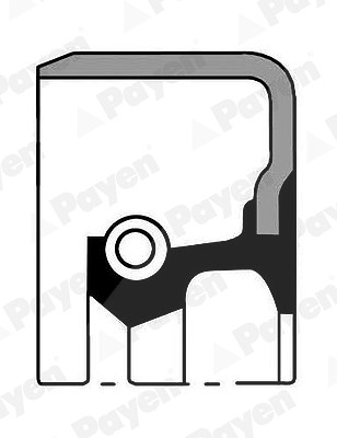 Payen Wellendichtring, Radnabe [Hersteller-Nr. NK054] für Toyota von PAYEN