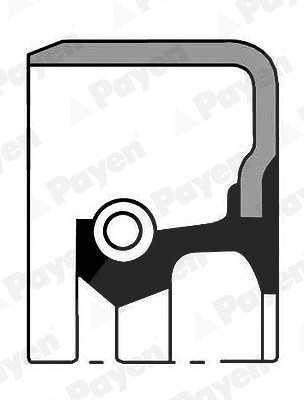 Payen Wellendichtring, Schaltgetriebe [Hersteller-Nr. NJ609] für Toyota von PAYEN