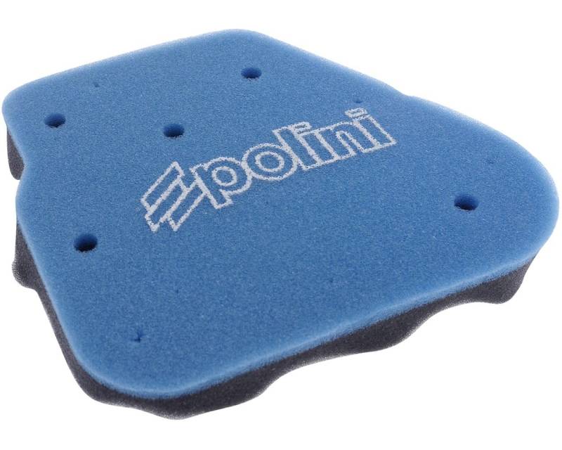 Luftfilter Einsatz Polini für CPI, Keeway, China 50ccm 2T von POLINI