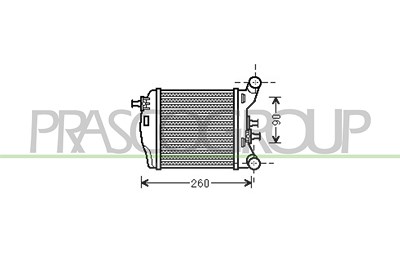 Prasco Ladeluftkühler [Hersteller-Nr. FT030N003] für Abarth von PRASCO