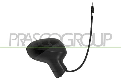 Prasco Außenspiegel [Hersteller-Nr. ST0357103] für Seat von PRASCO