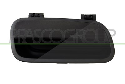 Prasco Türgriff [Hersteller-Nr. CI9158502] für Citroën von PRASCO