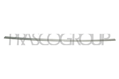 Prasco Zier-/Schutzleiste, Stoßfänger [Hersteller-Nr. ME0251255] für Mercedes-Benz von PRASCO
