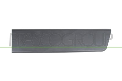 Prasco Zier-/Schutzleiste, Tür [Hersteller-Nr. FT9301456] für Fiat von PRASCO