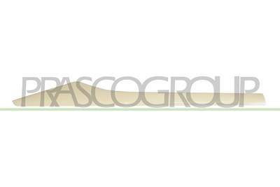 Prasco Zier-/Schutzleiste, Tür [Hersteller-Nr. RN7001463] für Renault von PRASCO