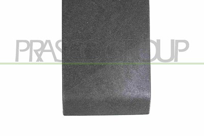 Prasco Zier-/Schutzleiste, Seitenwand [Hersteller-Nr. RN9541416] für Renault von PRASCO