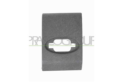 Prasco Zier-/Schutzleiste, Tür [Hersteller-Nr. OP9541425] für Opel, Renault von PRASCO