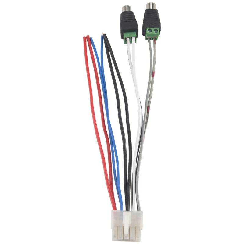 PRATYAHARA 1 StüCk Strom Eingang Lautsprecher Kabelbaum 10 Pin Stecker RCA für Dual TBX10A VerstäRker, 500145816 von PRATYAHARA