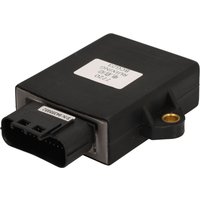 Steuergerät ECU/EDC PARSUN F20-05001200WEFI von Parsun