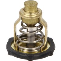 Thermostat PARSUN F115-05000032 von Parsun