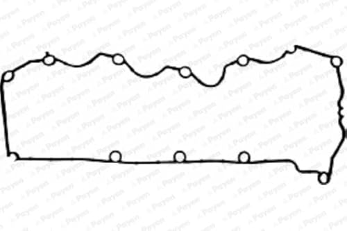 PAYEN JM5163 Dichtung, Zylinderkopfhaube von Payen