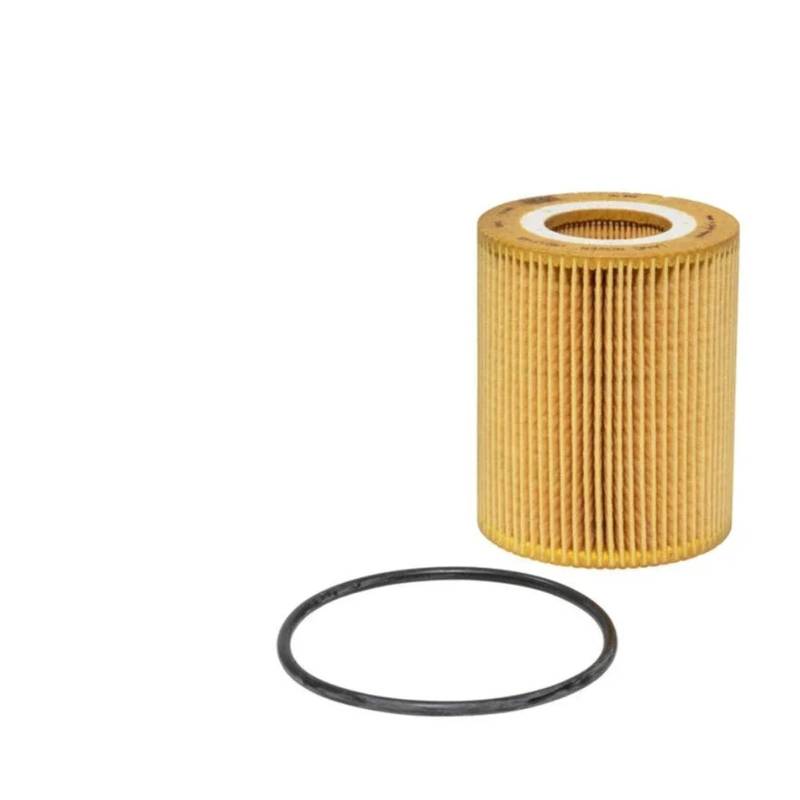 LR013148 Ölfilterelement kompatibel mit LAND ROVER LR3 kompatibel mit LAND ROVER LR4 kompatibel mit LAND ROVER Range Rover Sport DIESEL 3.0 V6 TD6 ÖLFILTER(1PCS) von Pengchang