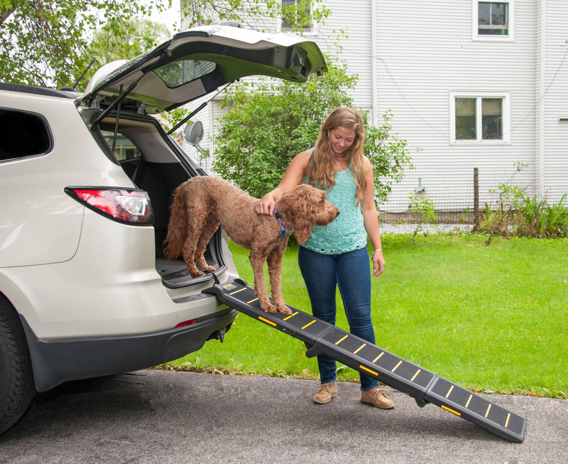 Pet Gear Travel Lite Rampen für Hunde und Katzen, kompakt, einfach zusammenklappbar, leicht und tragbar, integrierter Tragegriff, unterstützt 68-90 kg, Sicherheitsgelb von Pet Gear