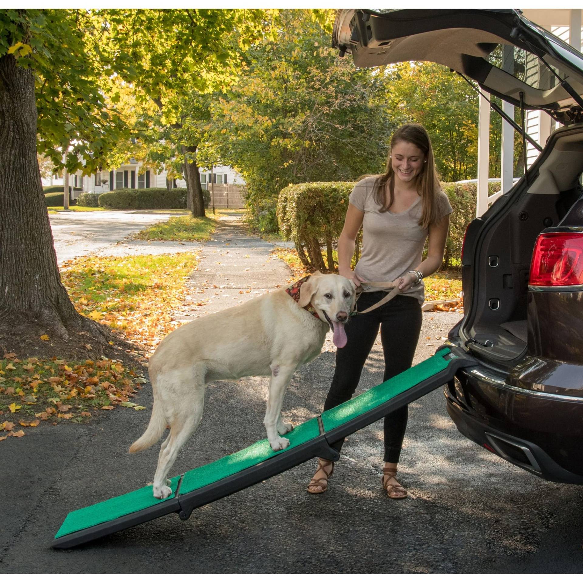 Pet Gear supertraX Rampen für Hunde und Katzen, maximale Traktionsfläche, tragbar/einfach zusammenklappbar (kein Werkzeug erforderlich), eingebauter Griff für Reisen, 107,7-180,9 cm lang, unterstützt von Pet Gear