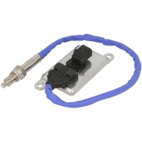 NOx Sensor PETERS 080.885-00 von Peters