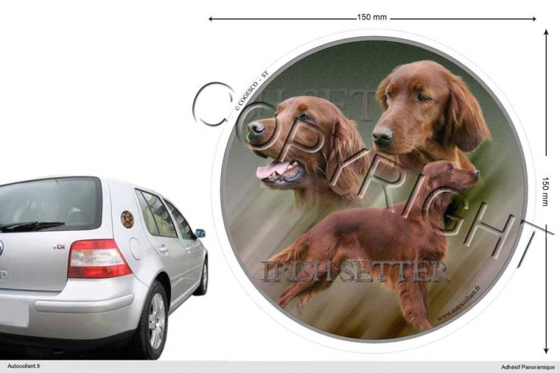 Circular Aufkleber Hund 15 cm Irish Red Setter von Pets-easy