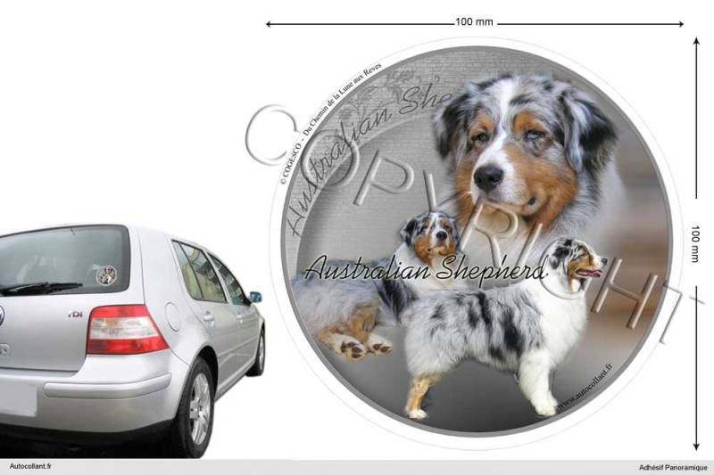 Pets-easy Circular Aufkleber Hund 10 cm Australian Shepherd von Pets-easy