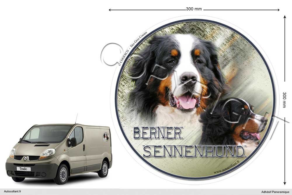 Pets-easy Circular Aufkleber Hund 30 cm Berner Sennenhund von Pets-easy