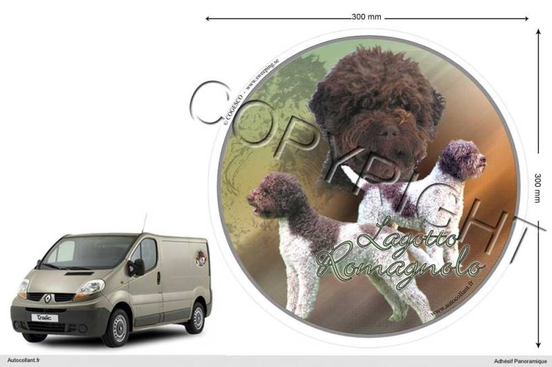 Pets-easy Circular Aufkleber Hund 30 cm Lagotto Romagnolo von Pets-easy