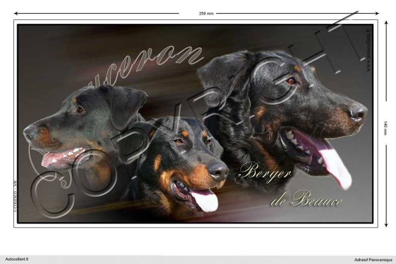 Pets-easy Rechteckige Aufkleber Hund 25 cm Beauceron von Pets-easy