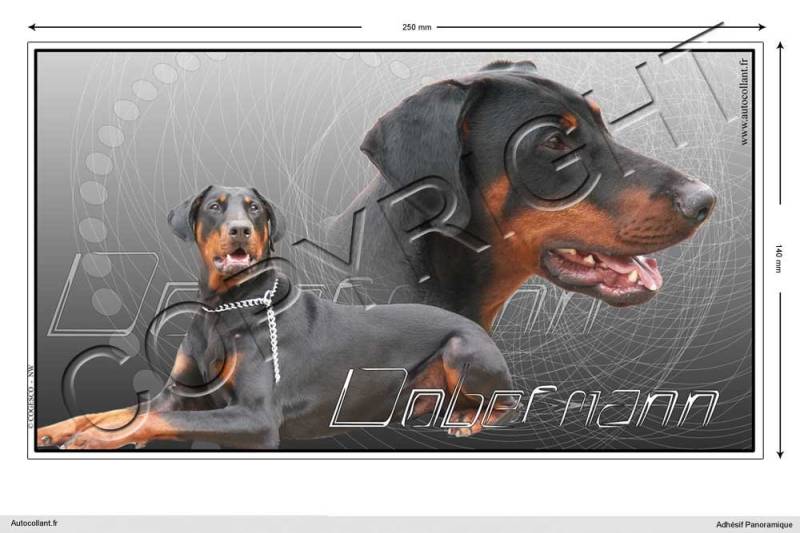 Pets-easy Rechteckige Aufkleber Hund 25 cm Dobermann von Pets-easy