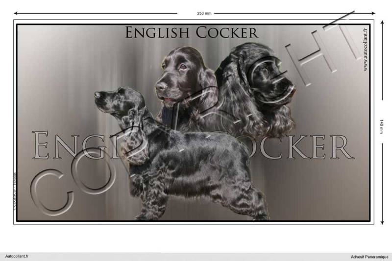 Pets-easy Rechteckige Aufkleber Hund 25 cm English Cocker Spaniel von Pets-easy