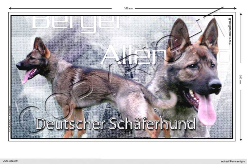 Pets-easy Rechteckige Aufkleber Hund 36cm Deutscher Schäferhund von Pets-easy