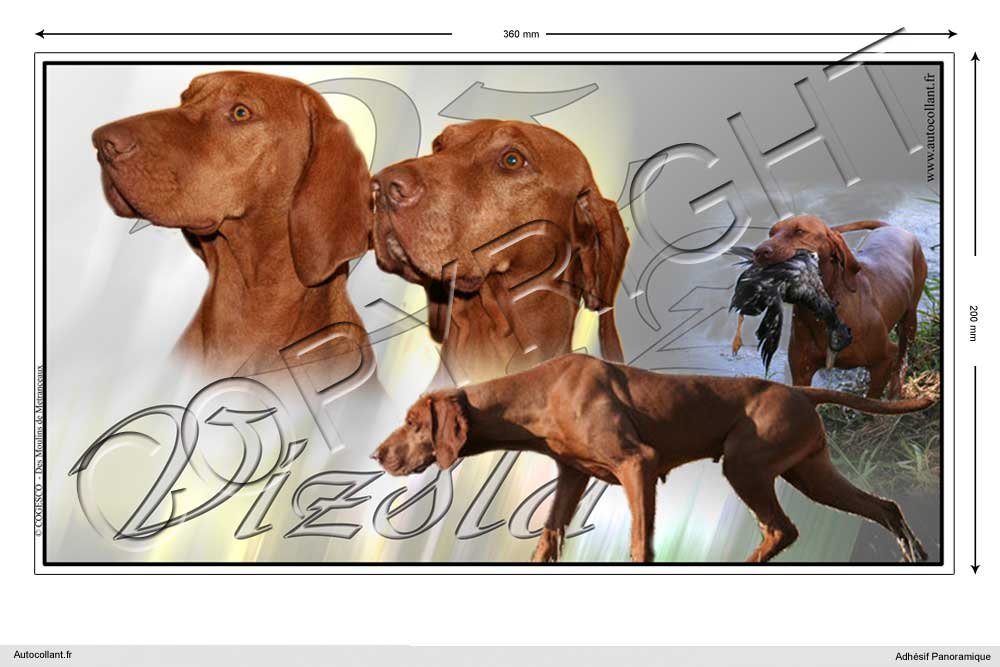 Pets-easy Rechteckige Aufkleber Hund 36cm Magyar Vizsla (Kurzhaar) von Pets-easy