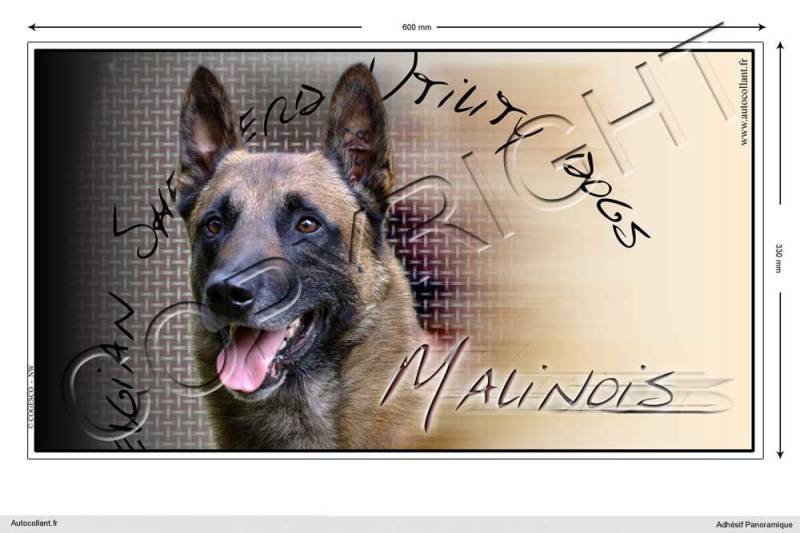 Pets-easy Rechteckige Aufkleber Hund 60cm Belgische Schäferhunde von Pets-easy