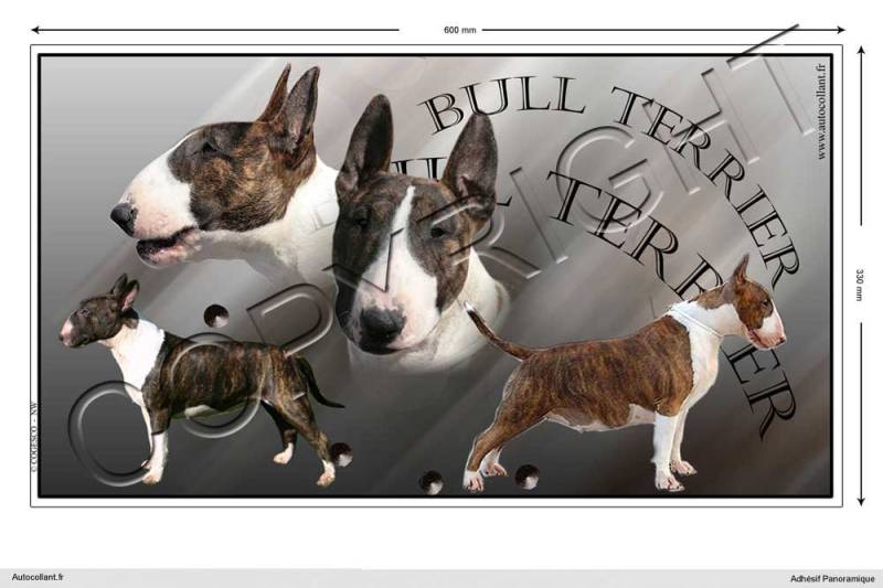 Rechteckige Aufkleber Hund 60cm Bullterrier von Pets-easy