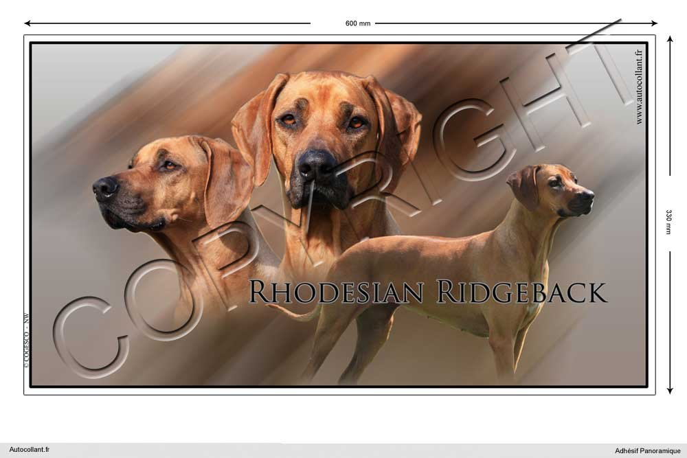 Pets-easy Rechteckige Aufkleber Hund 60cm Rhodesian Ridgeback von Pets-easy