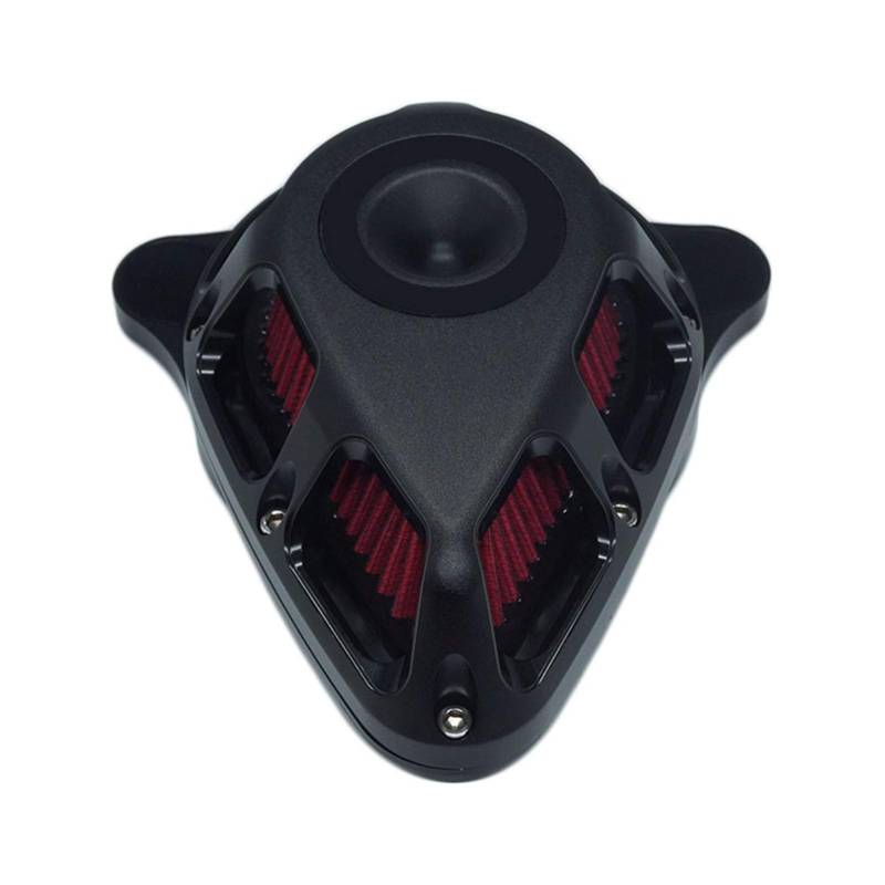 Pexorin Mehrwinkel-Luftfilter-Filtersatz, mattchrom, for Harley, Sportster XL 2007–2020, Dyna FatBob Softail 2000–2020, Touring FLHX FLHR 2000–2020 Motorrad-Luftfilter(C) von Pexorin