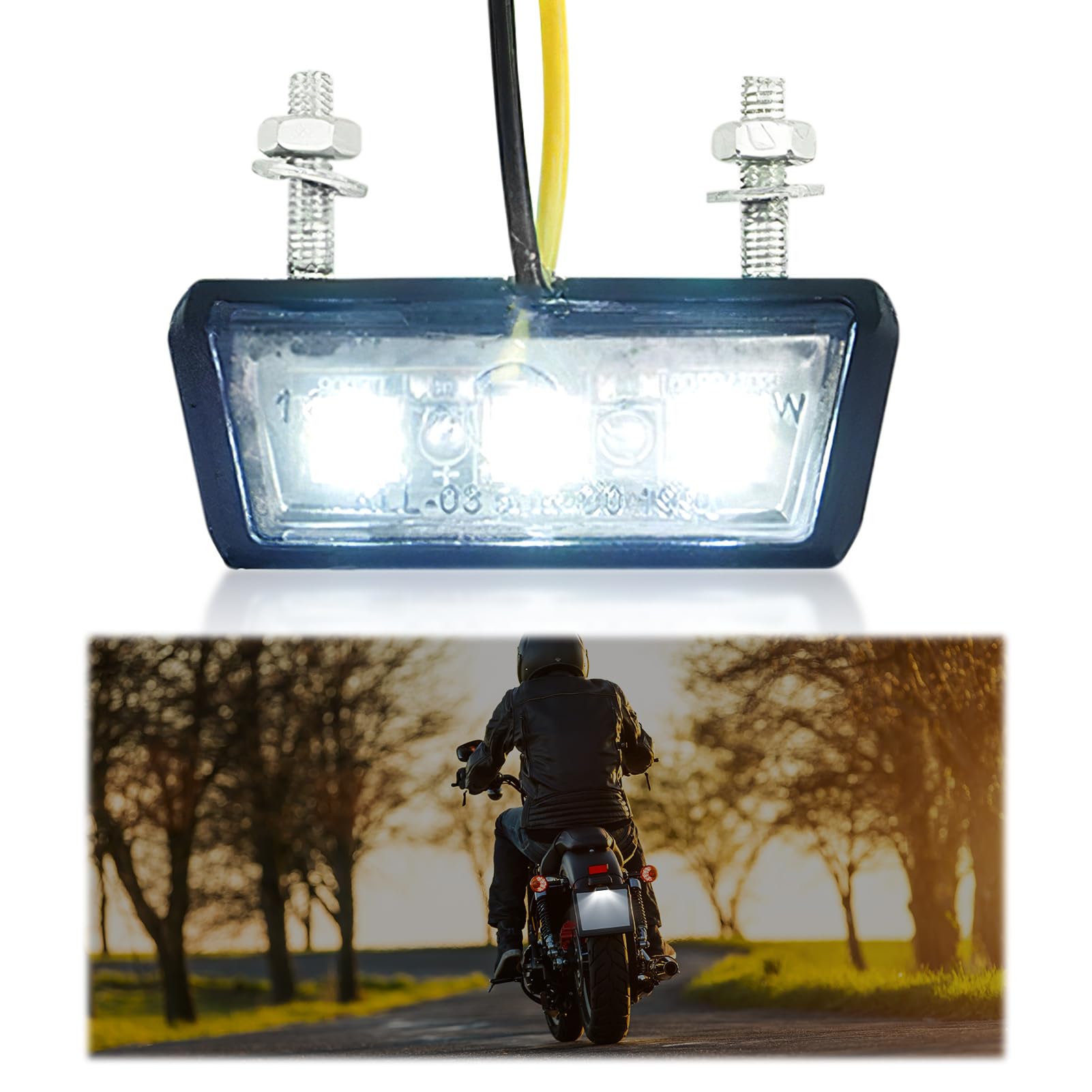 PosyLane Motorrad-Kennzeichenleuchte, 12 V LED-Kennzeichenleuchte, universelle Mini-Kennzeichenleuchte für LKW, Transporter, Anhänger, Auto, Auto (weißes Licht) von PosyLane