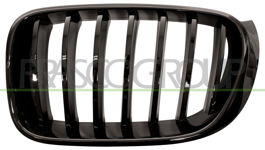 PRASCO BM8072004 Frontgrillspoiler von Prasco