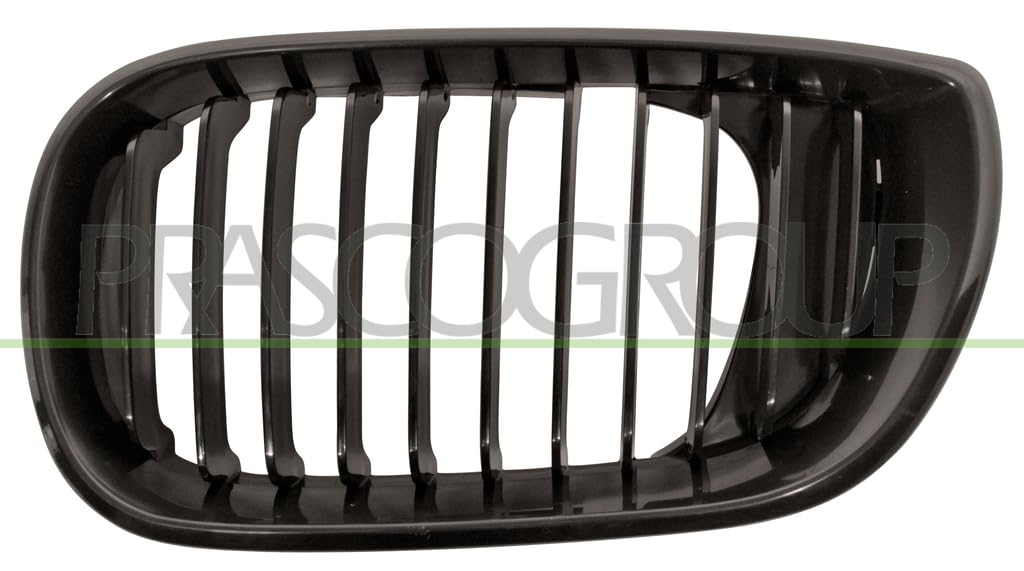 Prasco BM0202024 Kühlergrill Links für BMW 3 Touring, BMW 3 Compact, BMW 3 Stufenheck von Prasco