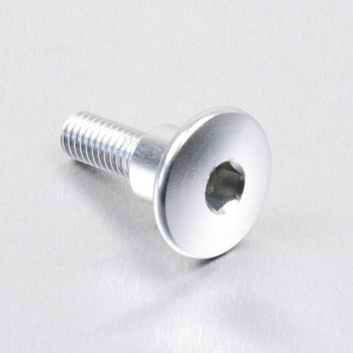 Pro-Bolt LFB622COLL Aluminium Linsenkopfschraube, Silber, M6 x 22mm Halsband, 9.5mm x 8mm von Pro-Bolt