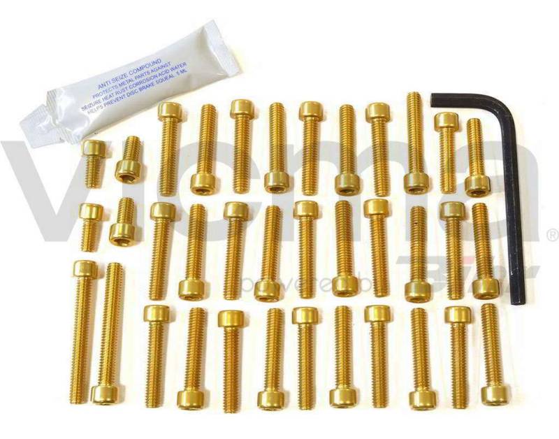 pro-bolt – 42098: Schrauben C/Allen Deckel Motor Aluminium Gold Hornet 600 98 – 2006 eho096g von Pro-Bolt