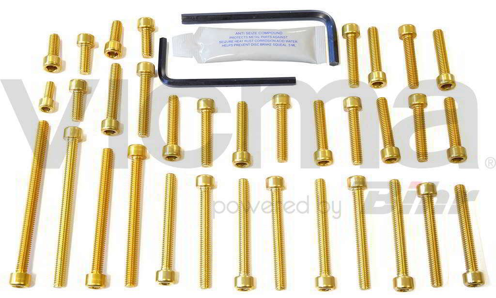 pro-bolt – 42124: Schrauben C/Allen Deckel Motor Aluminium Gold GSX 600 08 – 10 esu093g von Pro-Bolt