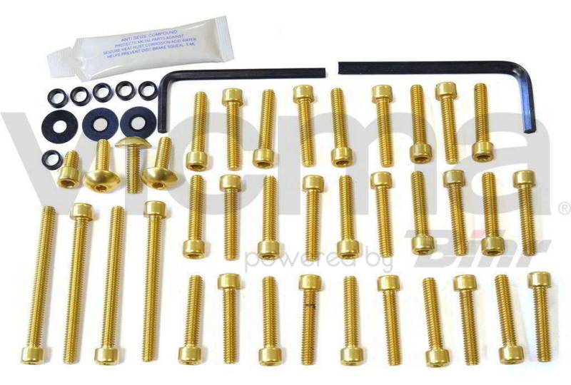 pro-bolt – 42130: Schrauben C/Allen Deckel Motor Aluminium Gold Bandit 650 09 – 10 esu103g von Pro-Bolt