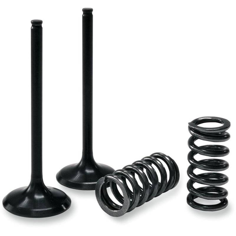 Prox Einlass Ventil/SPRING KIT 28.SIS6353-2 von Prox