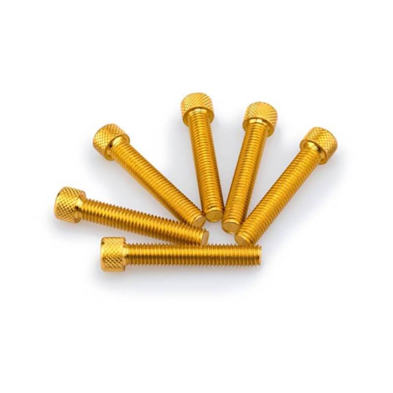 Puig 0516 G Blister 6 Schrauben, M8, 45 mm, Gold von Puig