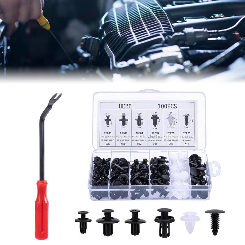 100 Stück Auto Befestigung Clips, Befestigungsclips, Befestigung Clips Türverkleidung, Spreiznieten Karosserie, Auto Befestigungsclips Set, Auto Türplatte Schnappt Set, 6 Arten Türverkleidung Klammern von QEEROYO