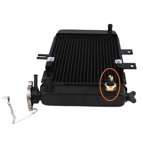 Kühlerschutz Motorrad Kühlung Motorkühler Wassertank Kühler Wasserkühler Kühlung Passend Für 150cc 200cc 250cc UTV Quad Buggy Teile von QGEMCIFLS