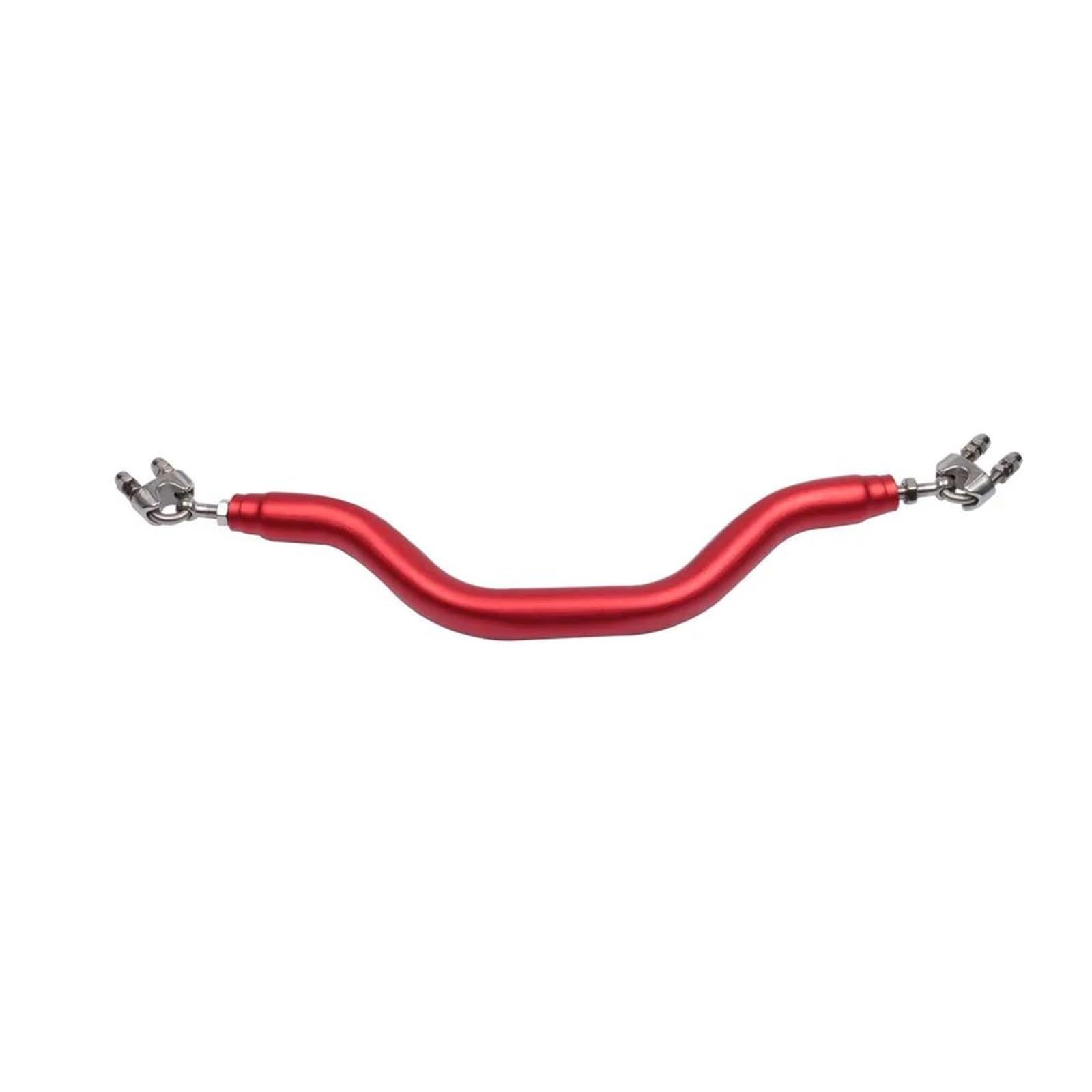 Griffe Balance Bar Motorrad Zubehör Halter Passagier Armlehne Bar Für GTS 300 GTV 250 Primavera 150 Sprint 125 50 LX LXV PX(Red) von QIBOZNG