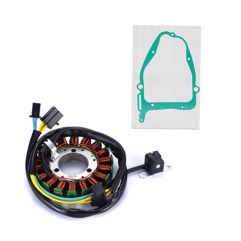 Auto Fußmatten Für Suzuki Für GZ-250 GZ250 Für Marauder 1999 2000-2010 Mit Dichtung Motor Stator Spule + Spannungsreglergleichrichter Autoteppiche(B) von QILINGS