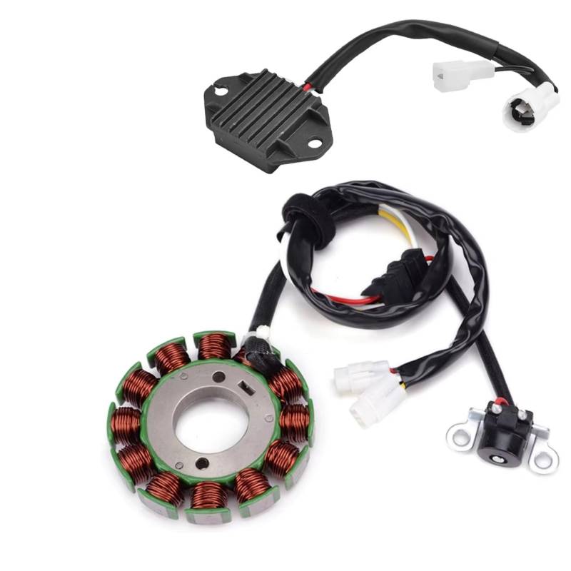 Auto Fußmatten Für WR 250 Für WR250F 2007-2009 2010 2011 2012 2013 Mit Dichtung 2014 Motor Stator Spule Spannungsreglergleichrichter Autoteppiche(B) von QILINGS