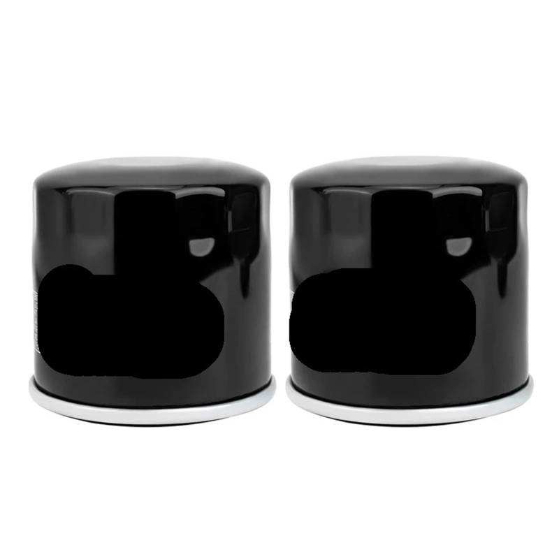 Motorrad-Ölfilter for LTV700 TWIN PEAKS 700 VZ1600 MARAUDER 1600 BOULEVARD M95 2004 2005 2006(2 PCS) von QOFBRYXLV