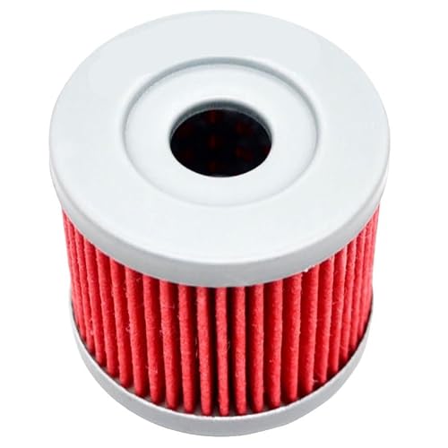 Motorrad Teile Öl Filter for UX150 UX125 SECHZEHN 150 125 UC150 UC125 GZ125 MARAUDER EPICURO 150 125 GS125 GN125E GN125(4 Pieces) von QOFBRYXLV