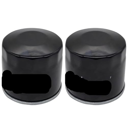 Ölfilter for GSF 1200 GSF1200 BANDIT 1200 1996–2006 GSF1250 GSF 1250 BANDIT 2009–2013 GSF600 GSF 600 95–04(2 Pieces) von QOFBRYXLV