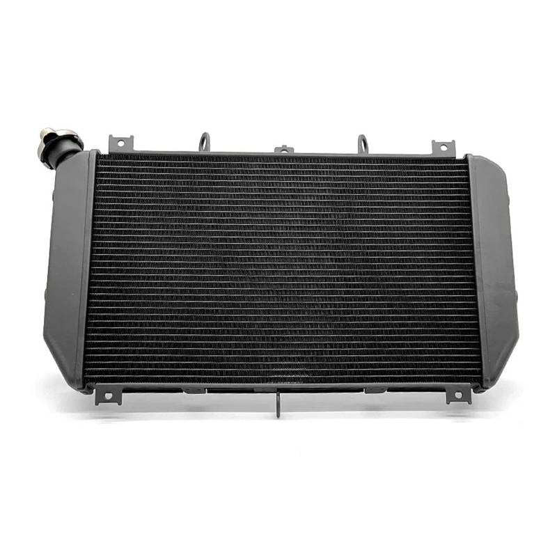 Motorräder Kühlerschutz Schützende Kühlergrillabde Für Z900 RS Motorrad Motor Kühler Kühlung Teil Kühler Wasser Tank Grille Schutz Zubehör Für Kawasaki Z900RS 2018-2023 von QOFYCNSKGF